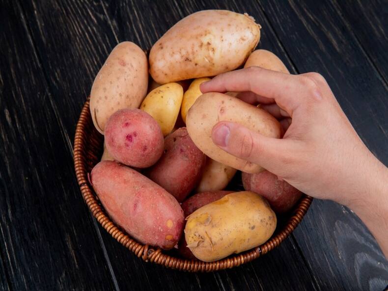 Winter Health Tips: 7 Reasons Why You Must Consume Sweet Potatoes In Winters
