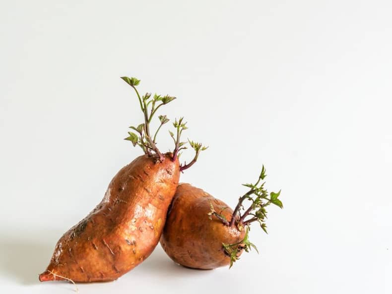 Winter Health Tips: 7 Reasons Why You Must Consume Sweet Potatoes In Winters