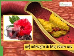 नसों में जमने लगा है बैड कोलेस्ट्रॉल तो सिर्फ दवाओं के भरोसे न बैठें, फूल वाले इस पोधे के पत्तों की चाय बनाकर पिएं