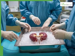 Opting For Kidney Transplant? Everything To Know Before Undergoing This MAJOR Surgery