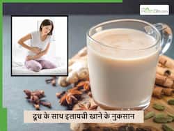 अगर आप भी गर्म दूध में इलायची डालकर पीते हैं, तो जान लें स्वास्थ्य को इससे होने वाले नुकसान