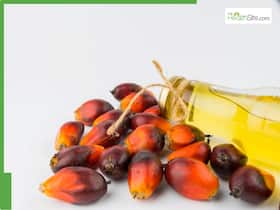 What Makes Palm Oil A Nutritional Ally For Women's Health? What Makes Palm Oil A Nutritional Ally For Women's Health?