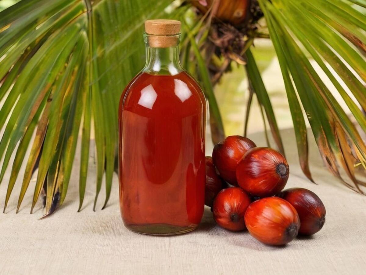 Palm oil, pregnant women health, women health food, Hormonal balance, Healthy diet, Healthy Oil for cooking, healthy oil, refined oil substitute, palm oil health benefits for women, palm oil for cholesterol and hormonal balance, palm oil for healthy skin, palm oil for stress regulation