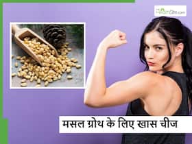 मसल को बनाना है लोहे सा मजबूत तो सिर्फ काजू-बादाम खाने से नहीं चलेगा काम, डाइट में ये खास नट