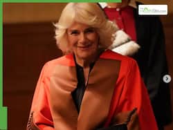 Is Queen Camilla Unwell? Buckingham Palace Issues Major Health Update