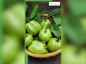 लाल और सफेद में कौन सा अमरूद है ज्यादा फायदेमेंद?