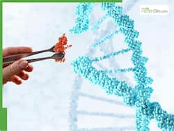 What Role Does Regenerative Medicine Play In The Management Of Type 1 And Type 2 Diabetes?