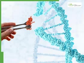 What Role Does Regenerative Medicine Play In The Management Of Type 1 And Type 2 Diabetes? What Role Does Regenerative Medicine Play In The Management Of Type 1 And Type 2 Diabetes?
