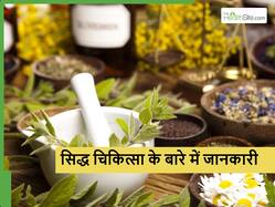 आयुर्वेद जितनी प्रभावी सिद्ध चिकित्सा फिर भी कम लोगों को जानकारी, जानें इस प्राचीन चिकित्सा प्रणाली के बारे में