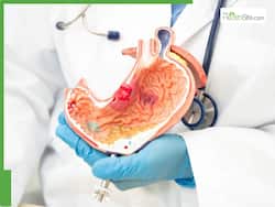 Stomach Cancer Risk In Men And Women: Who Is More Vulnerable And Why?