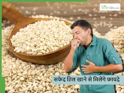 शरीर में मौजूद बड़ी-बड़ी समस्याओं को कंट्रोल करेगा ये खास बीज, जानें मुट्ठीभर तिल खाने से मिलने वाले फायदे