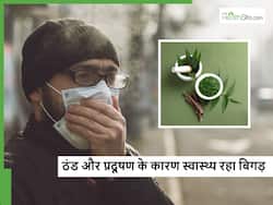 ठंड और वायु प्रदूषण से बार-बार पड़ रहे बीमार तो इन आयुर्वेदिक औषधियों पर दें ध्यान, जानें इनसे होने वाले फायदे