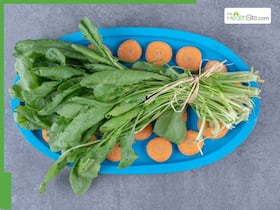Healthy Seasonal Diet: 6 Vegetables That Are Good For Health In Winter Season Healthy Seasonal Diet: 6 Vegetables That Are Good For Health In Winter Season