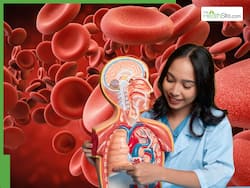 10 Yoga Poses To Improve Blood Circulation To Lungs And Breathing Capacity