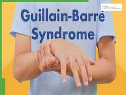 Exploring The Connection: How Gut Dysbiosis May Influence Guillain-Barr   Syndrome
