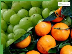 Amla Vs Orange: Which One Is Better For Weight Loss?