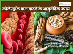 नसों में जमा बैड कोलेस्ट्रॉल को खींचकर बाहर कर देंगी ये 5 आयुर्वेदिक जड़ी-बूटियां, हार्ट अटैक का खतरा भी होगा कम