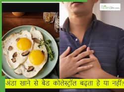 क्या अंडे खाने से बढ़ता है कोलेस्ट्रॉल लेवल, जानिए हाई कोलेस्ट्रॉल में अंडा खाना चाहिए या नहीं