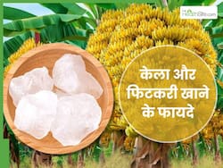 केला और फिटकरी खाने दूर हो सकती हैं ये 5 समस्याएं, रोजाना इस तरह करें सेवन