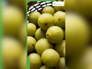रोज सुबह खाली पेट 1 आंवला खाने से क्या होता है?