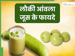 लौकी और आंवला जूस पीने से दूर होंगी ये 5 समस्याएं, जानिए सेवन का सही तरीका