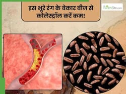 नसों में जमा गंदे कोलेस्ट्रॉल को खींचकर बाहर फेंक देगा खजूर का बीज, बस 1 बार ऐसे कर लें सेवन