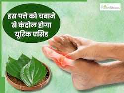 जोड़ों में जमा यूरिक एसिड को निचोड़कर बाहर निकाल फेंकेगा ये हरा पत्ता, दर्द और सूजन से तुरंत मिलेगी राहत