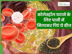 रोजाना सुबह खाली पेट पानी में मिलाकर पी लें ये काले बीज, नसों में जमा बैड कोलेस्ट्रॉल पिघलकर निकल जाएगा बाहर