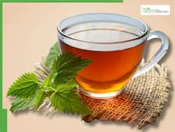 10 Foods You Should Never Pair With Your Cup of Tea