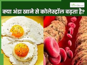 क्या अंडा खाने से कोलेस्ट्रॉल बढ़ता है? एक्सपर्ट से जानें एक दिन में कितना अंडे खाने चाहिए