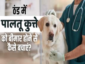 पालतू कुत्ते को बीमार होने से बचाने का आसान तरीका, जानें कैसे?