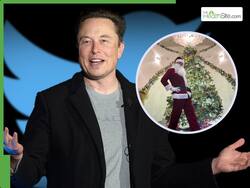 Elon Musk Weight Loss Transformation: X Owner Reveals How He Lost 40 Pounds