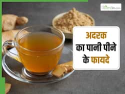 अदरक को पानी में उबालकर पिएं सुबह-शाम, कुछ ही दिनों में कम हो जाएगा मोटापा, होंगे ये भी फायदे