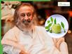 Gurudev Sri Sri Ravi Shankar Shares Health Benefits of Consuming Tulsi and Amla, Calls It Natural Gift To Immunity