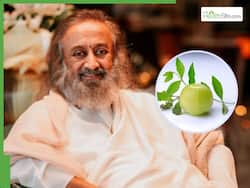 Gurudev Sri Sri Ravi Shankar Shares Health Benefits of Consuming Tulsi and Amla, Calls It Natural Gift To Immunity