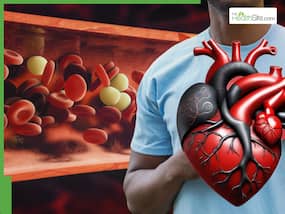 Healthy Heart Signs: 7 Indicators You Have Healthy Cholesterol Levels