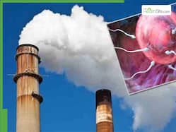 Toxic Air Quality: How It Affects Sperm Health