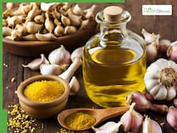 Mustard Oil With Garlic: 10 Health Benefits of Using Garlic Mixed With Mustard Oil
