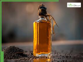 Exploring The Benefits: Can Mustard Oil Boost Hair Growth? Exploring The Benefits: Can Mustard Oil Boost Hair Growth?