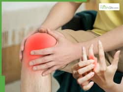 5 Medicinal Leaves to Naturally Cure Rheumatoid Arthritis Pain Without Surgery