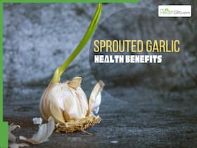 Sprouted Garlic Medicinal Benefits: 7 Reasons To Start Eating 1 Garlic Clove Daily On Empty Stomach