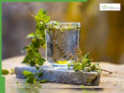 सुबह खाली पेट पानी के साथ इस तरह खाएं तुलसी के पत्ते, पूरी सर्दी नहीं पड़ेंगे बीमार