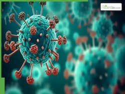 Understanding The Challenges Of RSV And HMPV: Prevention, Treatment, And Future Developments