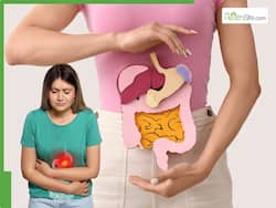 Unhealthy Gut Signs: 7 Indicators Your Digestive System Has Damaged Completely