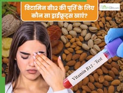 विटामिन बी12 की कमी को सप्ताहभर में दूर कर देंगे ये 5 ड्राई फ्रूट्स, खाते ही दोगुनी रफ्तार से बढ़ेगा Vitamin B12