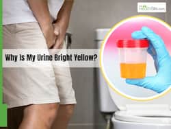 Why Is My Urine Bright Yellow? Here's What Your Urine Is Telling You About Your Health