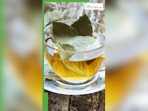 सुबह खाली पेट तेज पत्ते का पानी पीने के 8 जबरदस्त फायदे