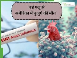 तेजी से रंग बदल रहा है H5N1 वायरस, अमेरिका में बर्ड फ्लू से हुई पहली मौत के बाद बढ़ी अफरा-तफरी
