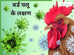 H5N1 होने पर नजर आते हैं ये 5 लक्षण, मांसपेशियों में दर्द और तेज बुखार जैसे संकेतों को न करें नजरअंदाज