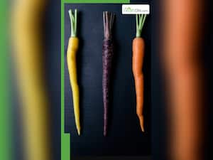 सर्दियों में काली गाजर खाने से मिलेंगे ये 6 फायदे